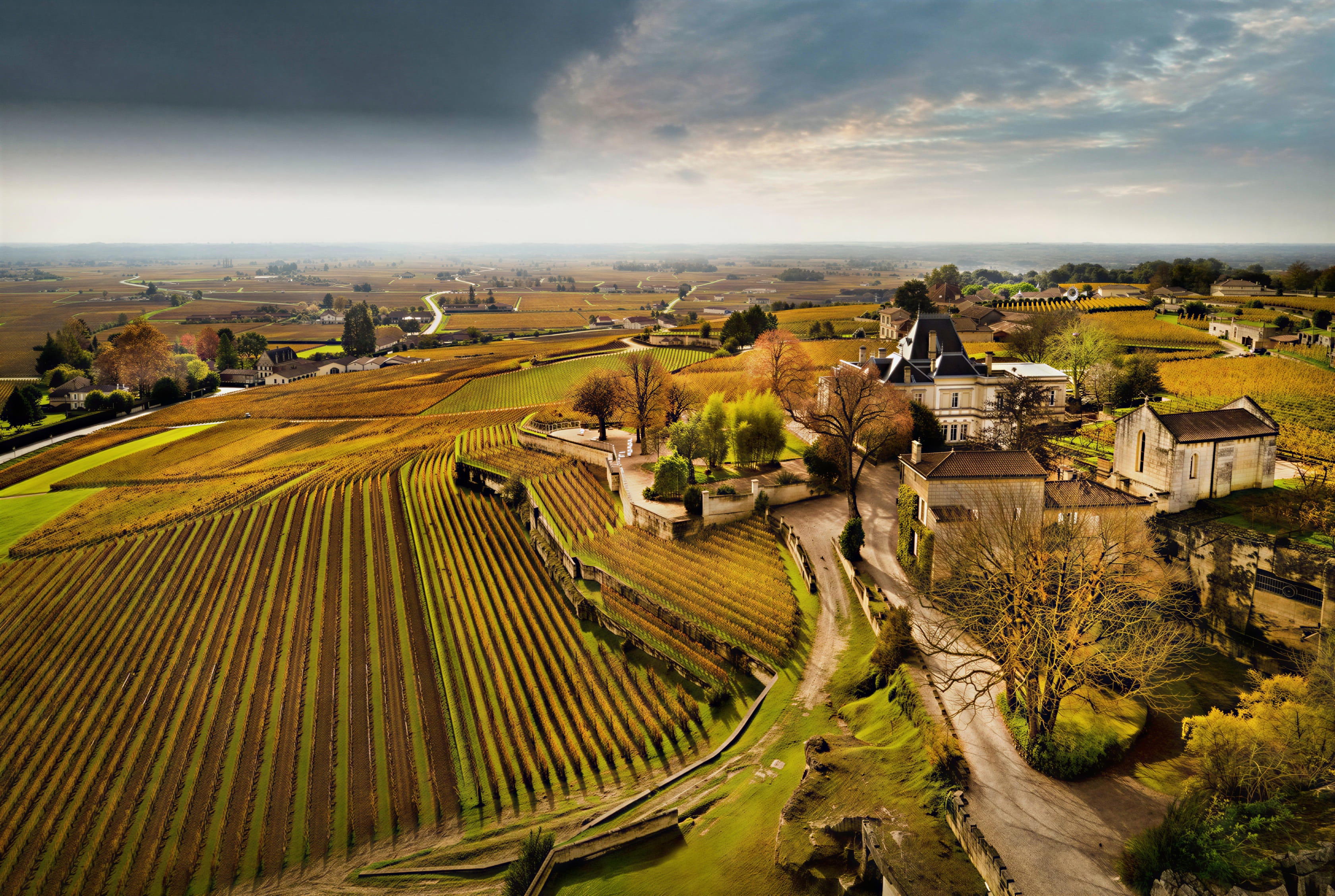 Tasting in the Limestone Cathedrals: A Private Visit to Château Ausone