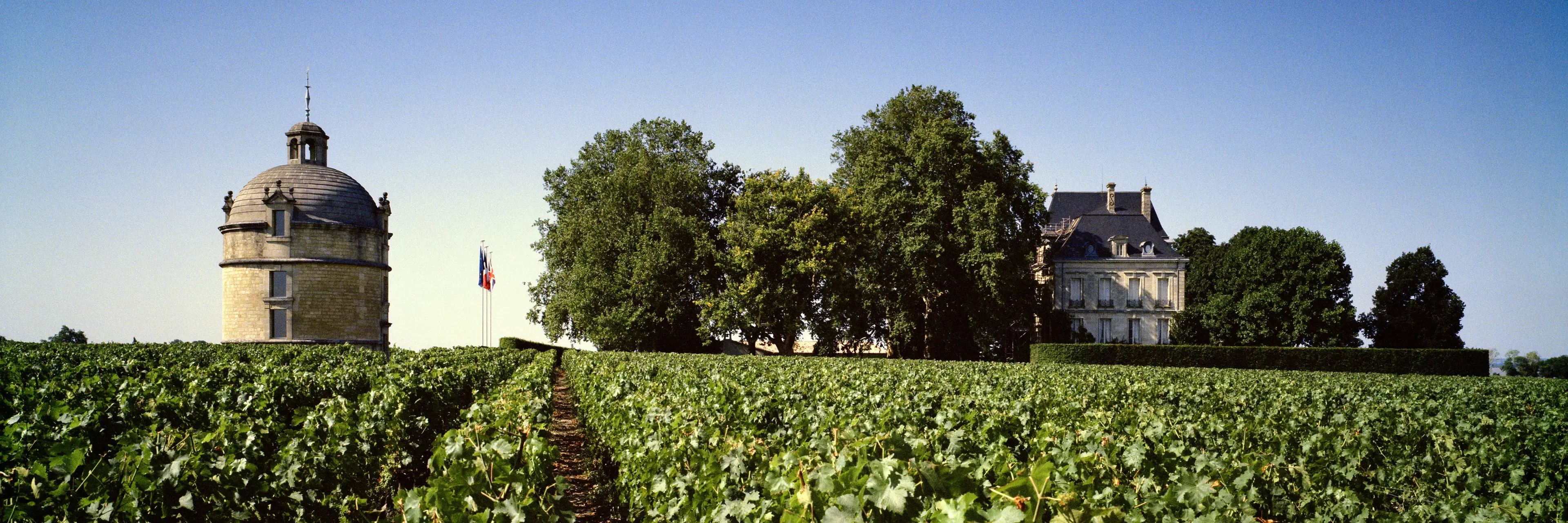 Wine Tasting at Chateau Latour: One of the Most Difficult Estates to Visit in Bordeaux