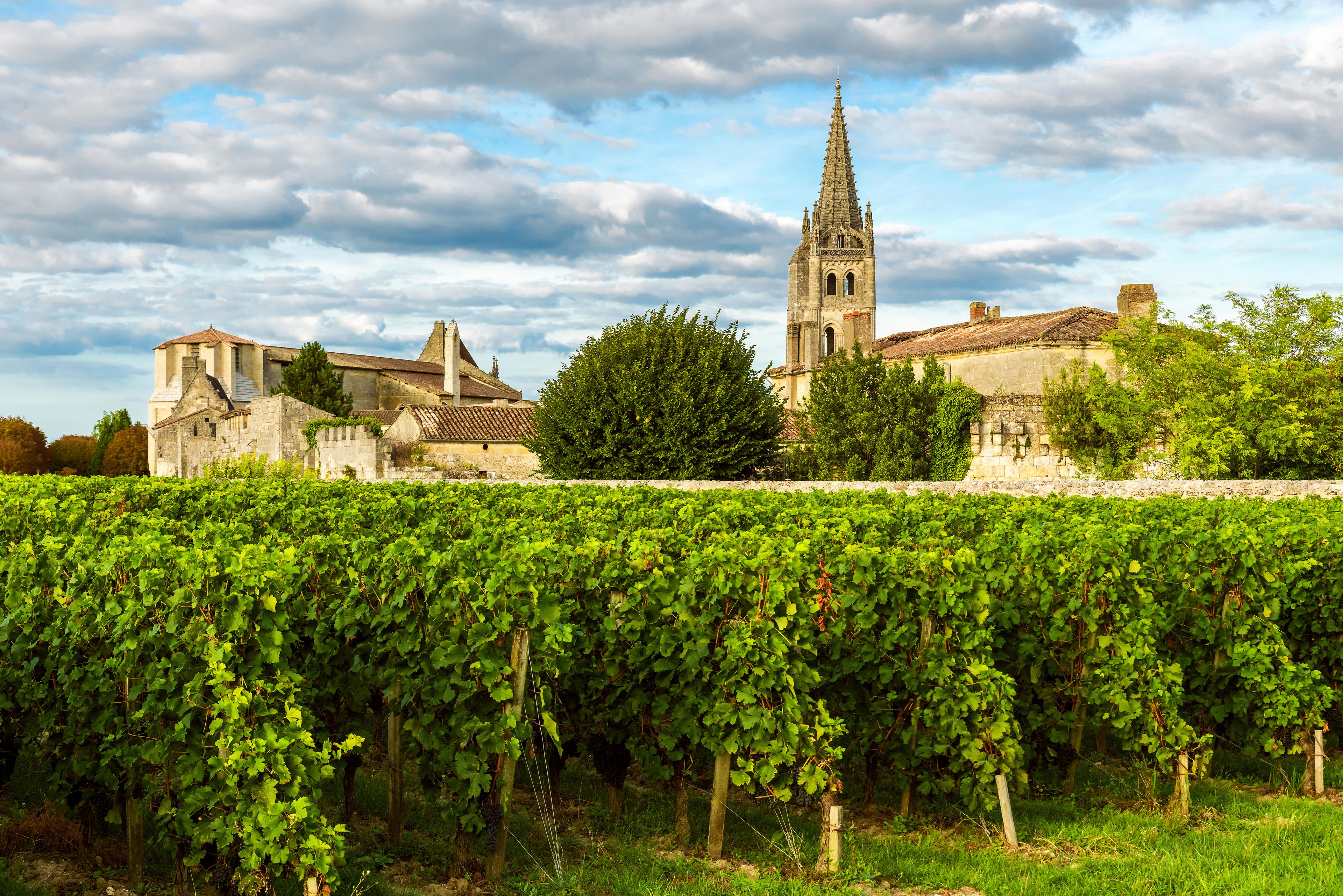 15 Hidden Wine Regions for Unique Experiences in 2025
