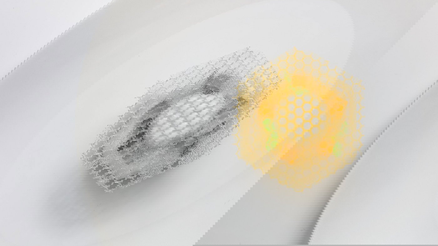 Elegant dish on a white plate, showcasing a round dessert with a honeycomb pattern and green garnish, set on a minimal white background.