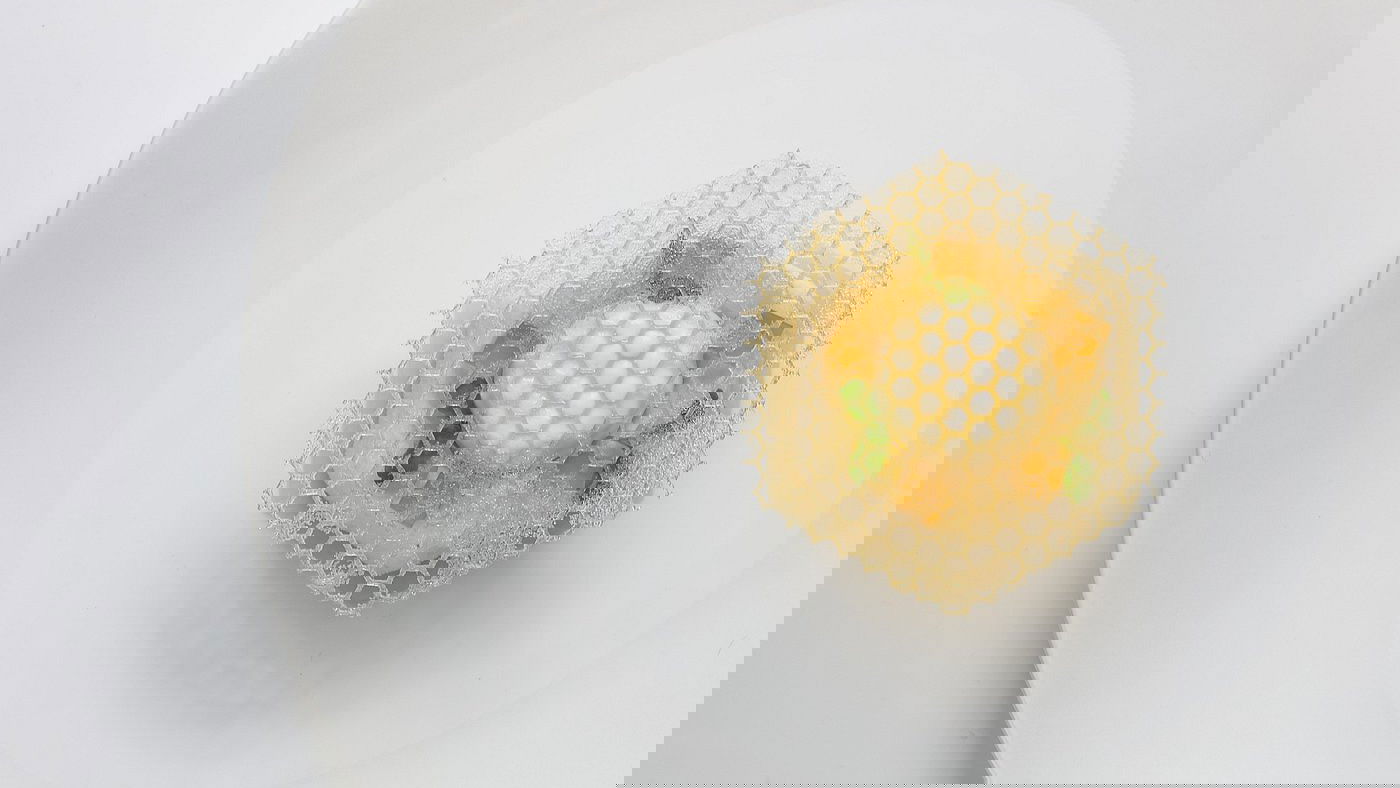 Best fine dining restaurants in London