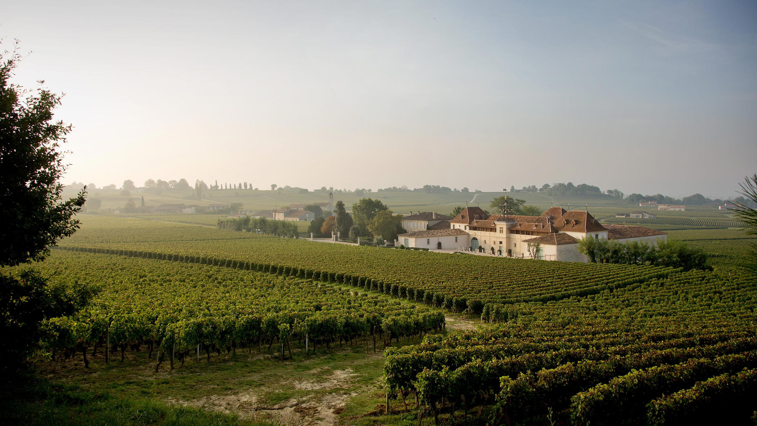 The Most Theatrical Tour in Bordeaux: A Château Angélus Tasting Visit Review (2026)