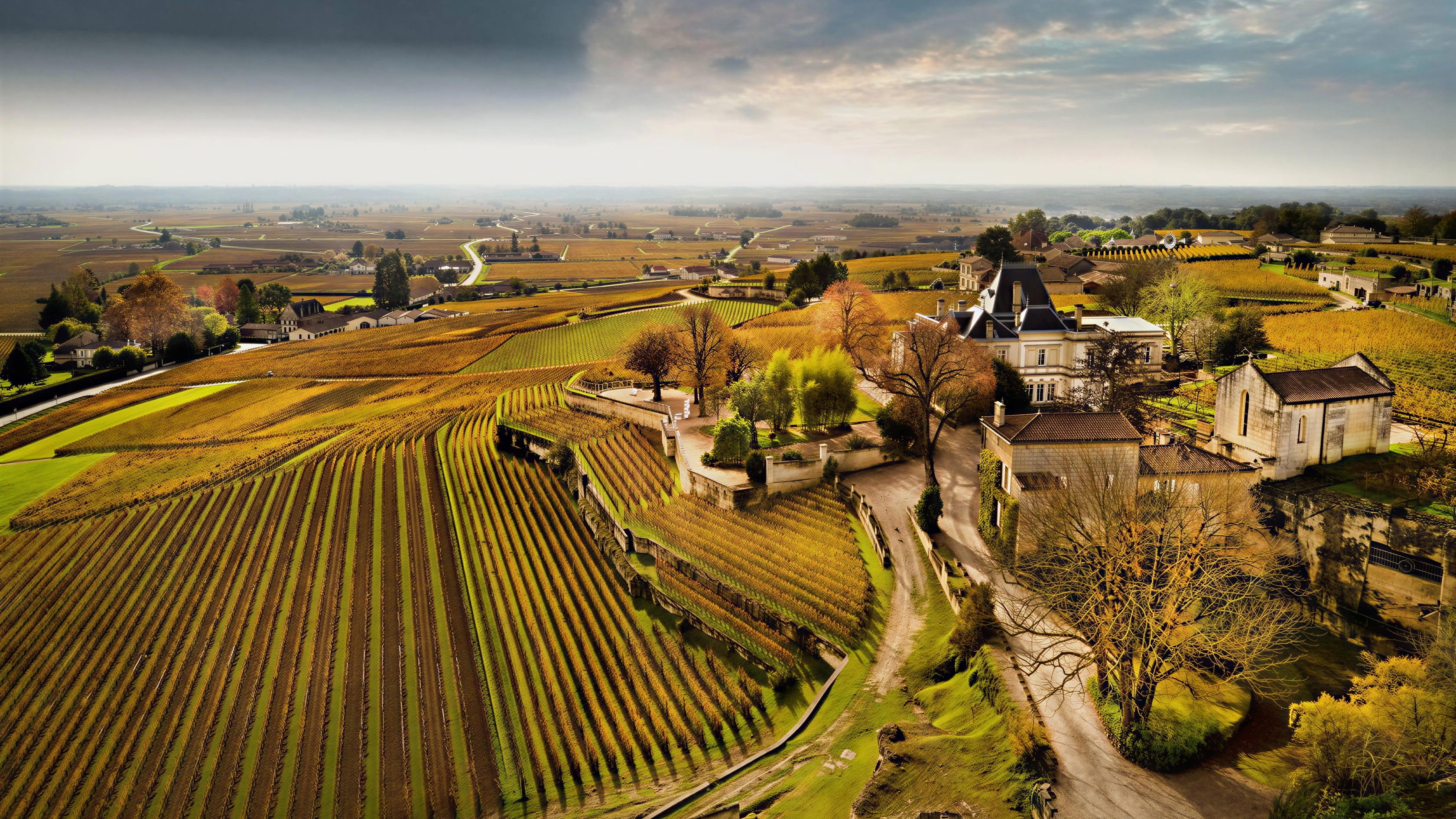 Tasting in the Limestone Cathedrals: A Private Visit to Château Ausone
