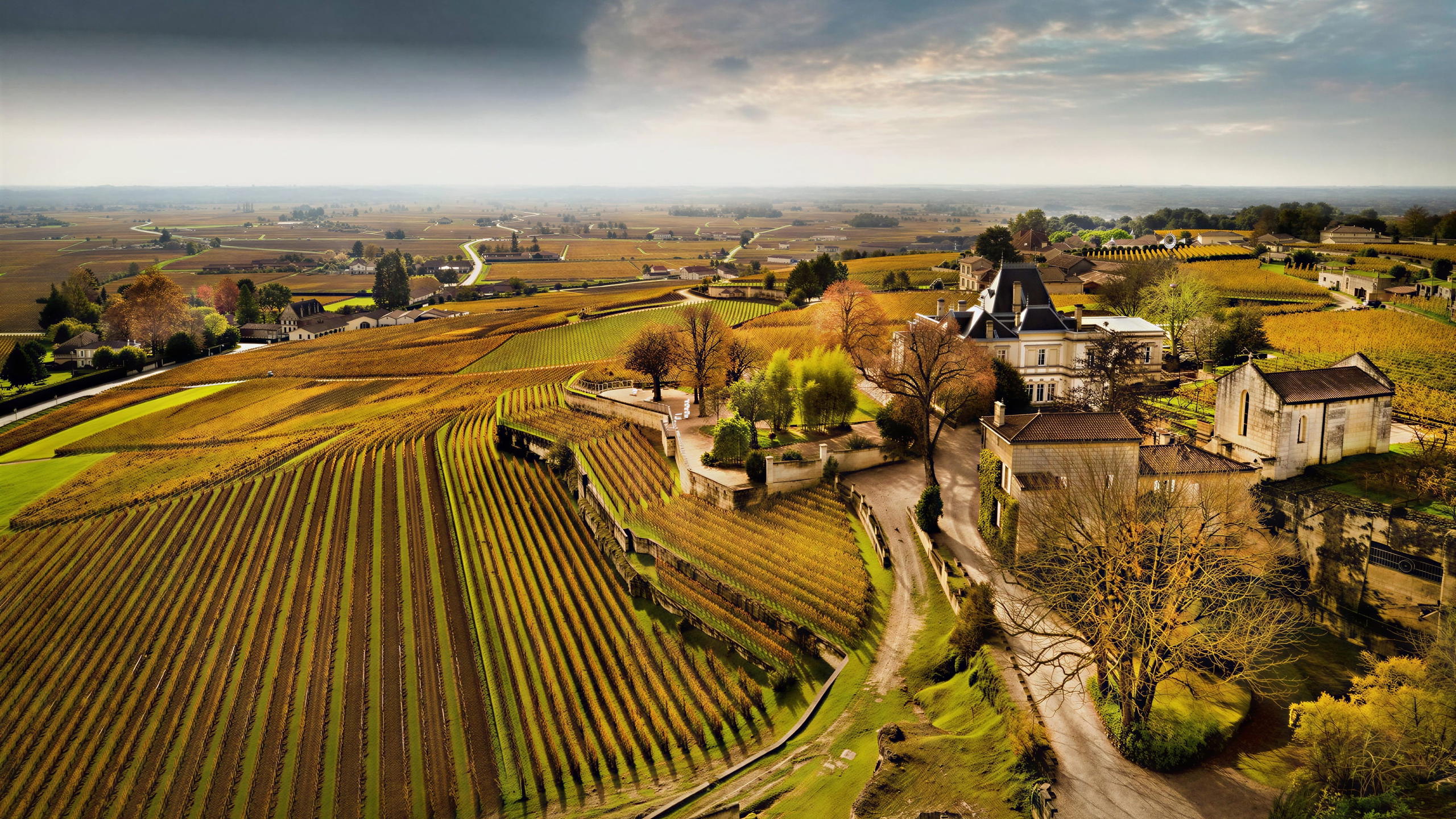 Tasting in the Limestone Cathedrals: A Private Visit to Château Ausone