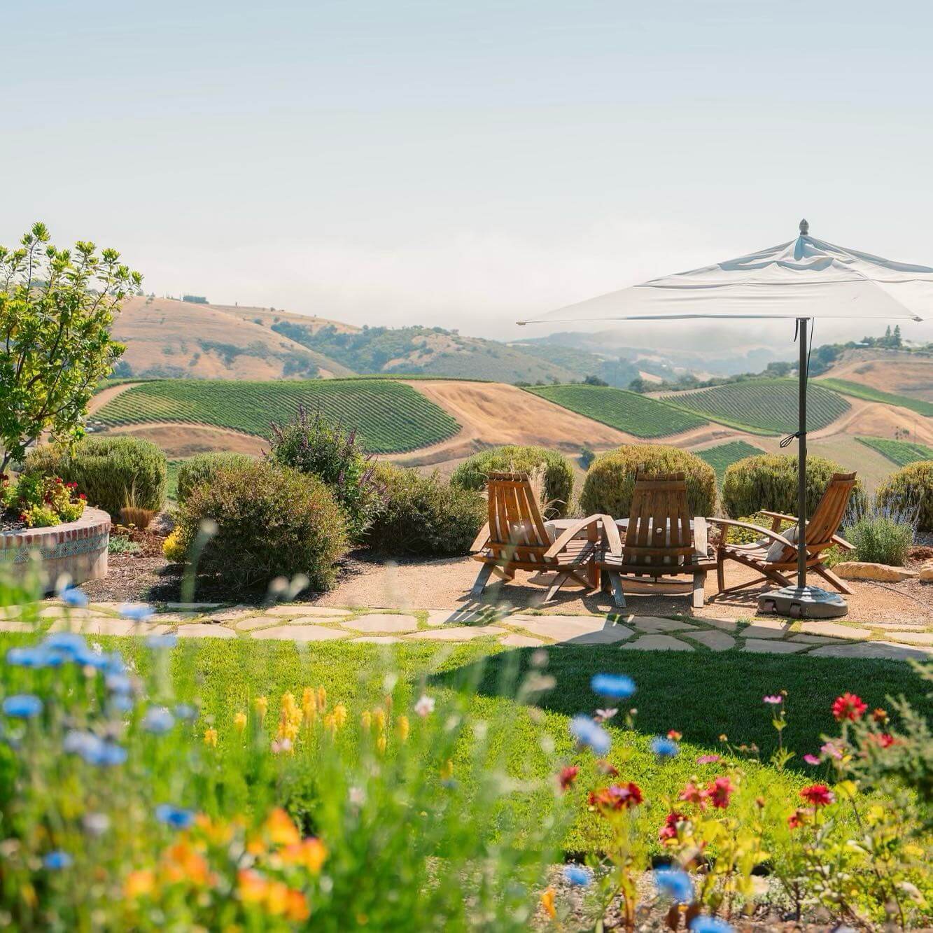 The Top 5 Wineries to Visit in Paso Robles