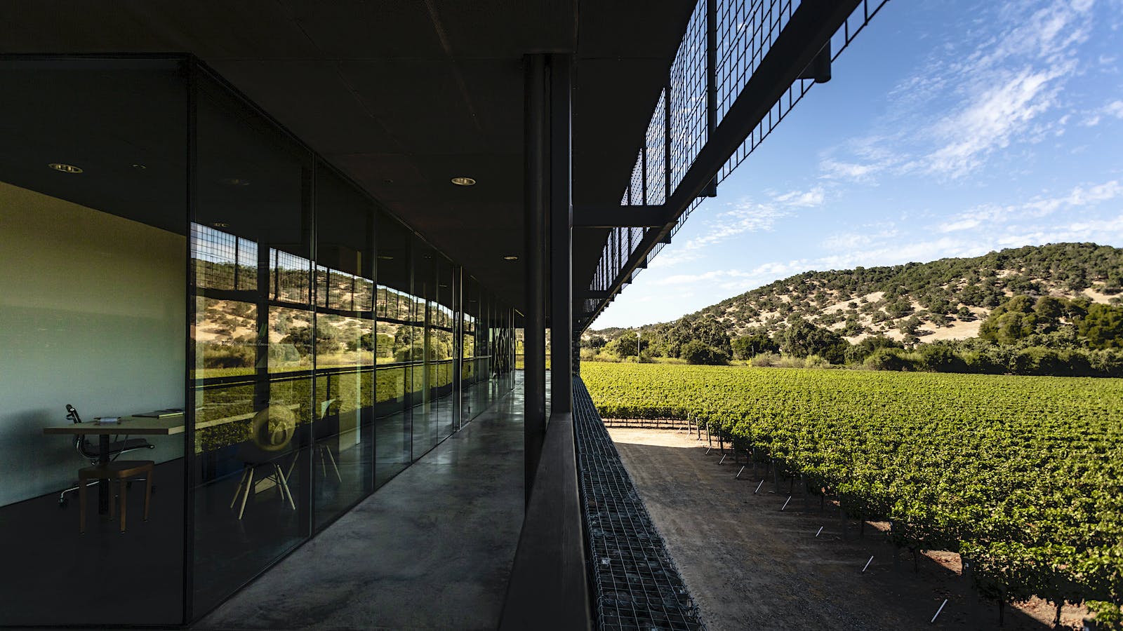 An Afternoon Visit to Dominus Estate Winery