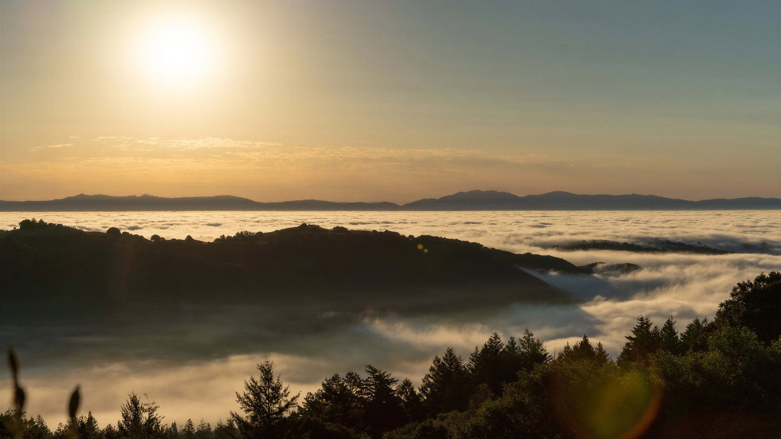 Serene sunrise over misty hills and dense forest. Bright sun casts warm light on low clouds and silhouetted trees. Peaceful atmosphere.