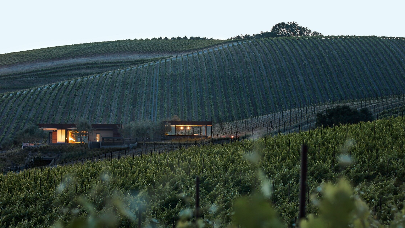 Vineyard at dusk with modern illuminated building nestled among lush green hills, creating a serene and peaceful atmosphere.