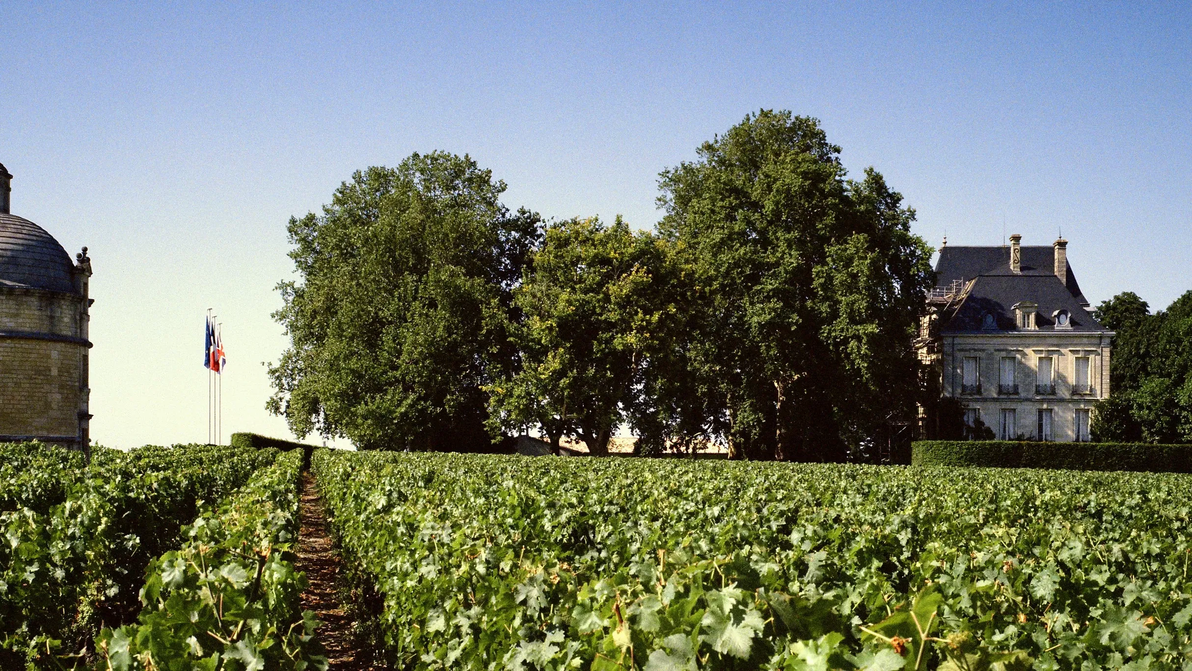 Wine Tasting at Chateau Latour: One of the Most Difficult Estates to Visit in Bordeaux