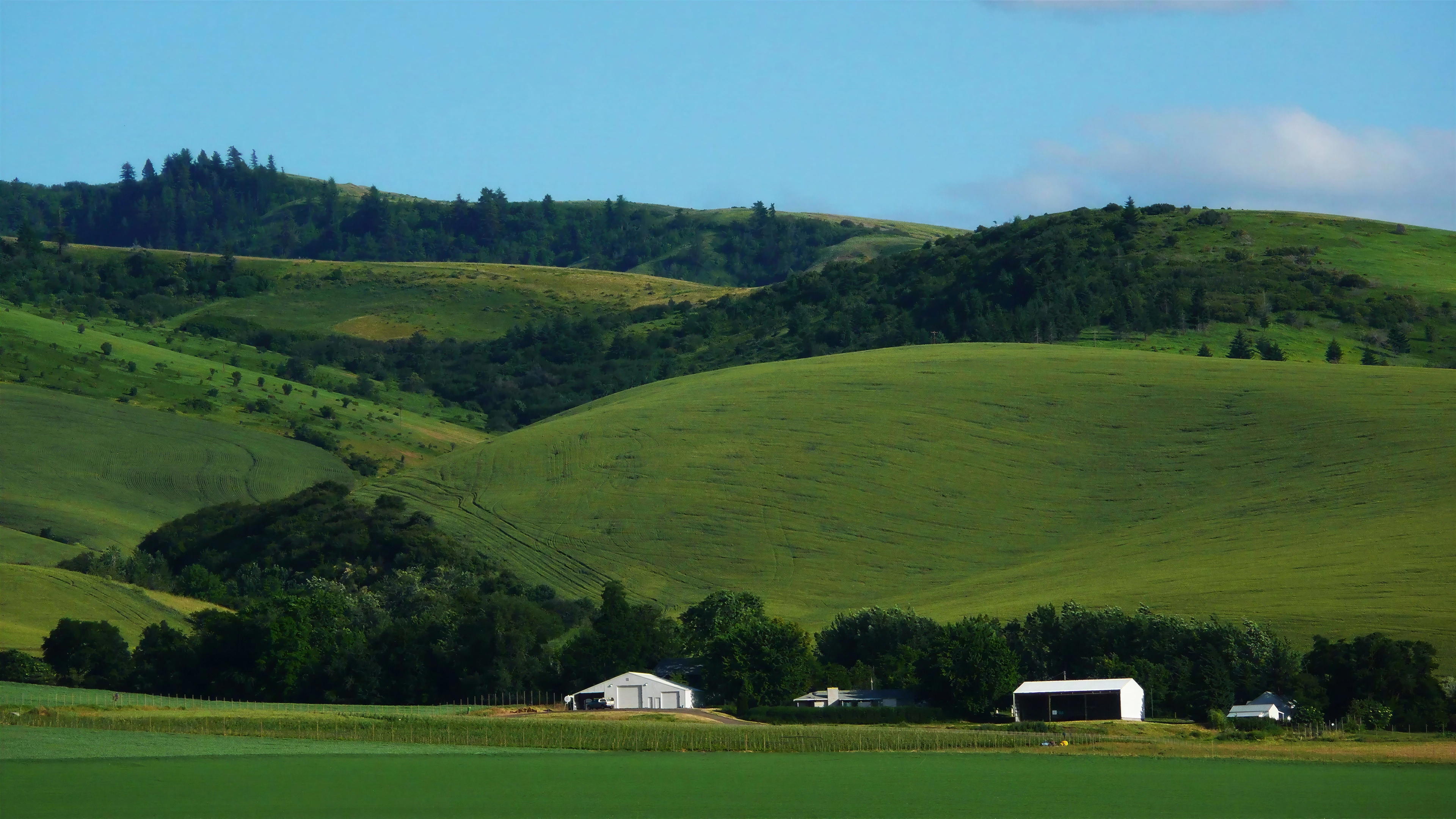 Reynvaan Winery is America's Best Rhone Style Producer: Why the Estate is a Must Visit in Walla Walla, Washington.