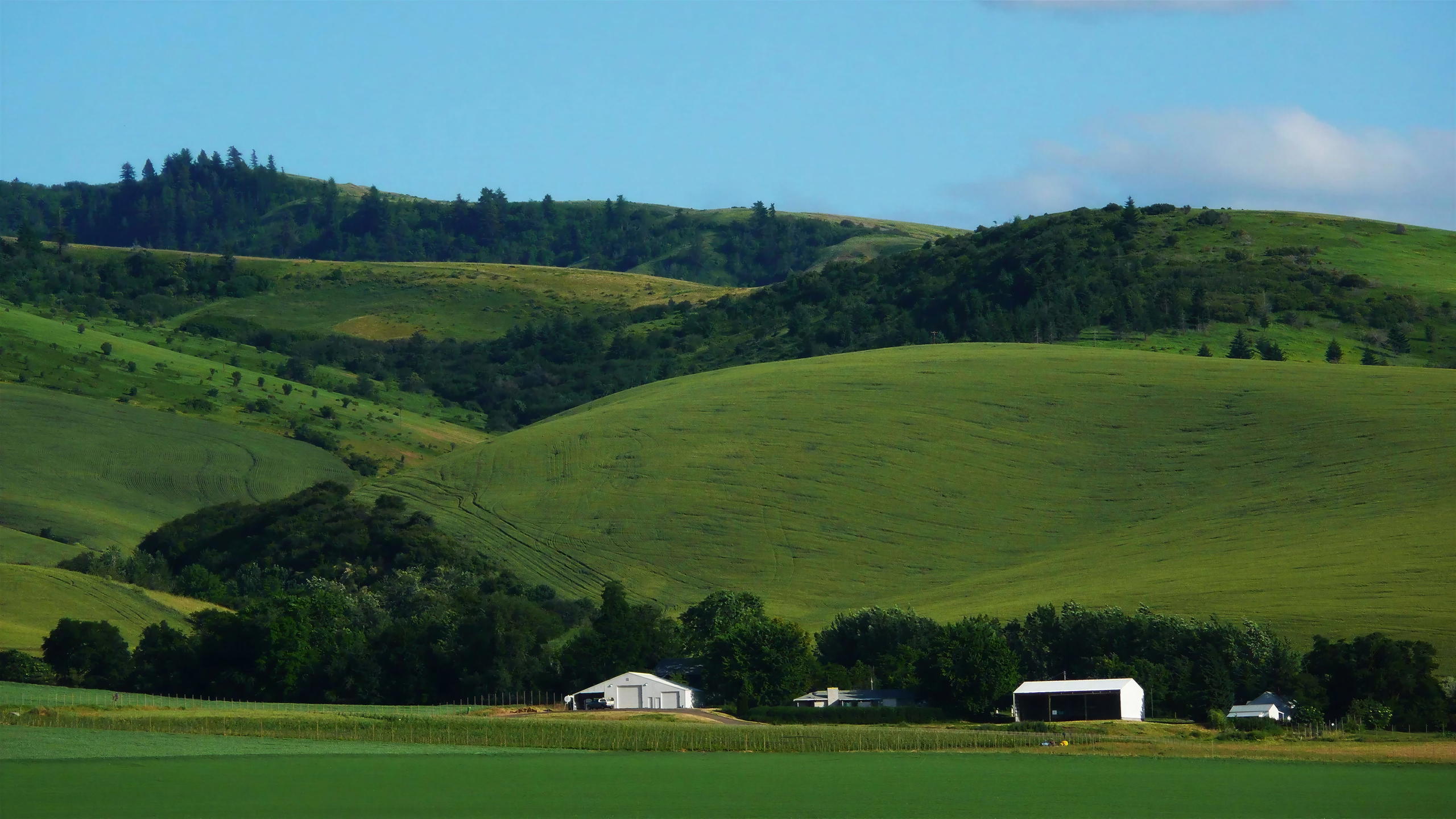 Reynvaan Winery is America's Best Rhone Style Producer: Why the Estate is a Must Visit in Walla Walla, Washington.