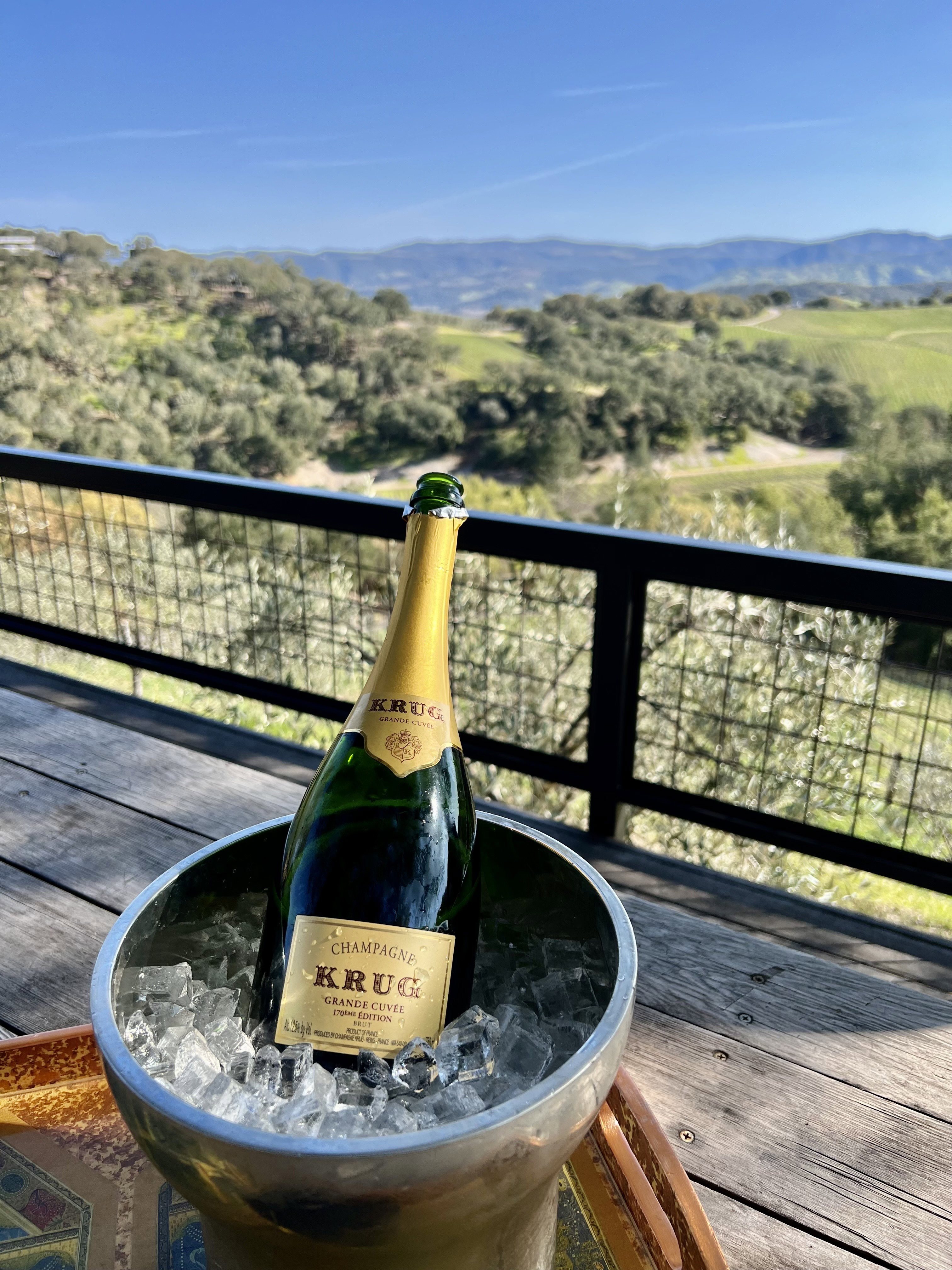 A bottle of champagne on ice in front of a vineyard