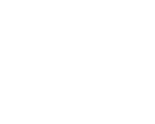 2026 Diners, Drive-Ins and Dives Featured Bars
