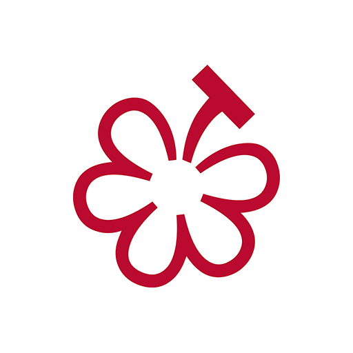 2026 Michelin 1 Grape - Burgundy