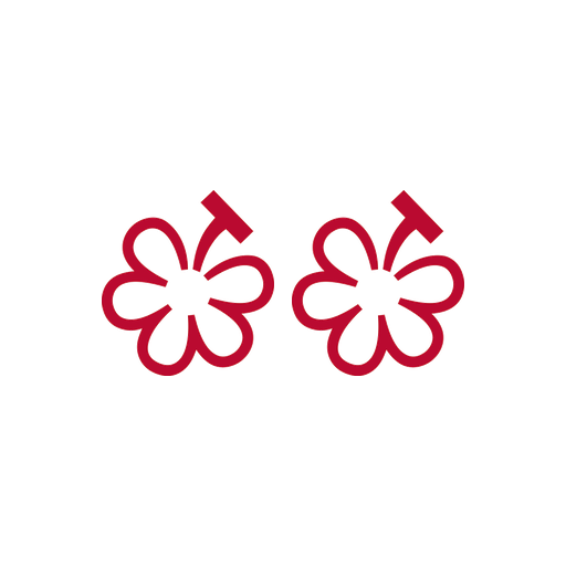 2026 Michelin 2 Grapes - Burgundy