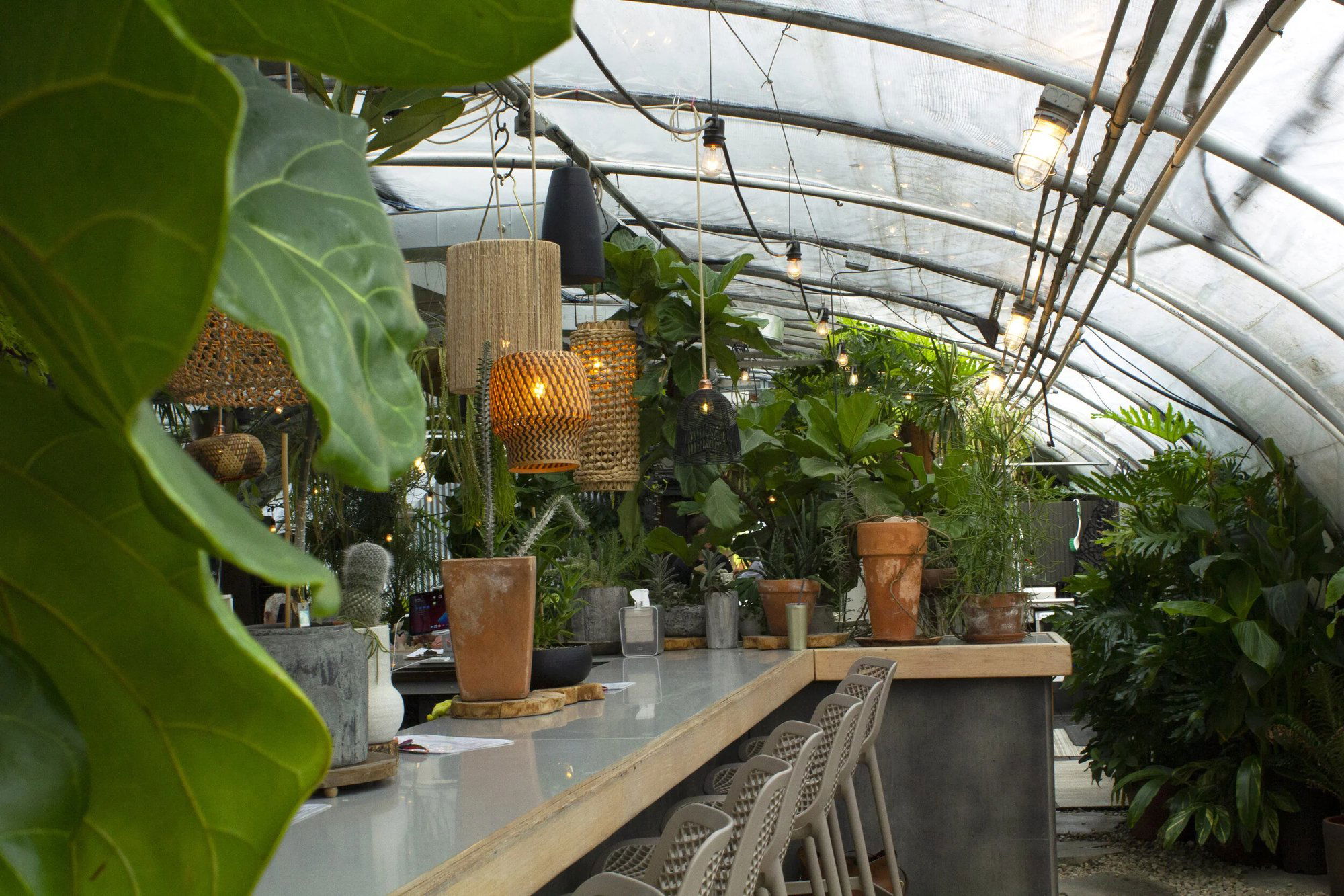 Greenhouse Bar, Bar in Nashville