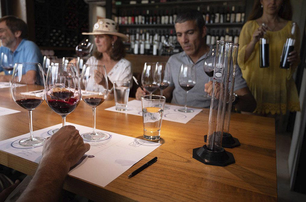 Vines to Go bar in Mendoza