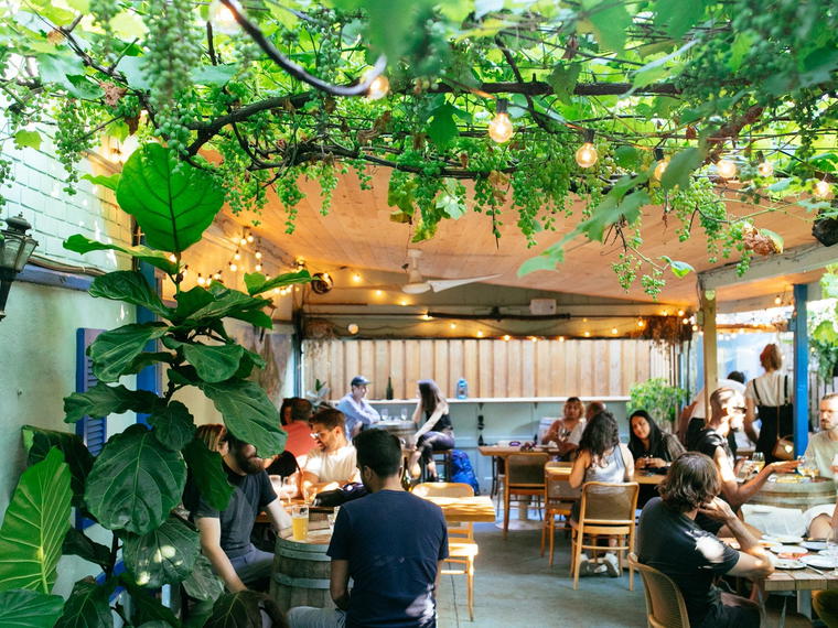 Paradise Grapevine, Toronto, Canada
