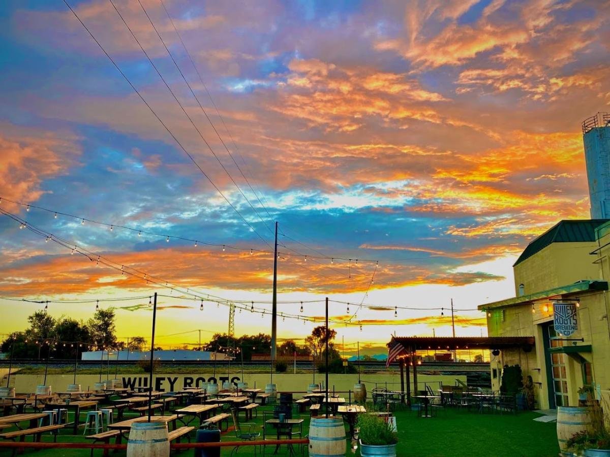 Wiley Roots Brewing Company, Bar in Greeley