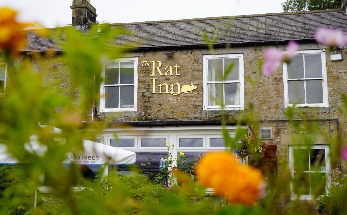 The Rat Inn