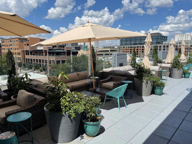 Highgarden, Raleigh, United States