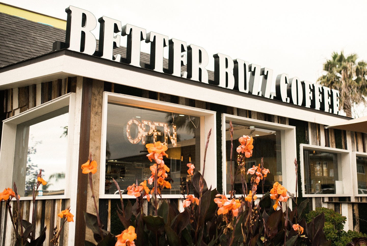 Better Buzz Coffee Point Loma bar in San Diego, United States