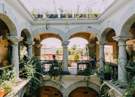 Amá Terraza