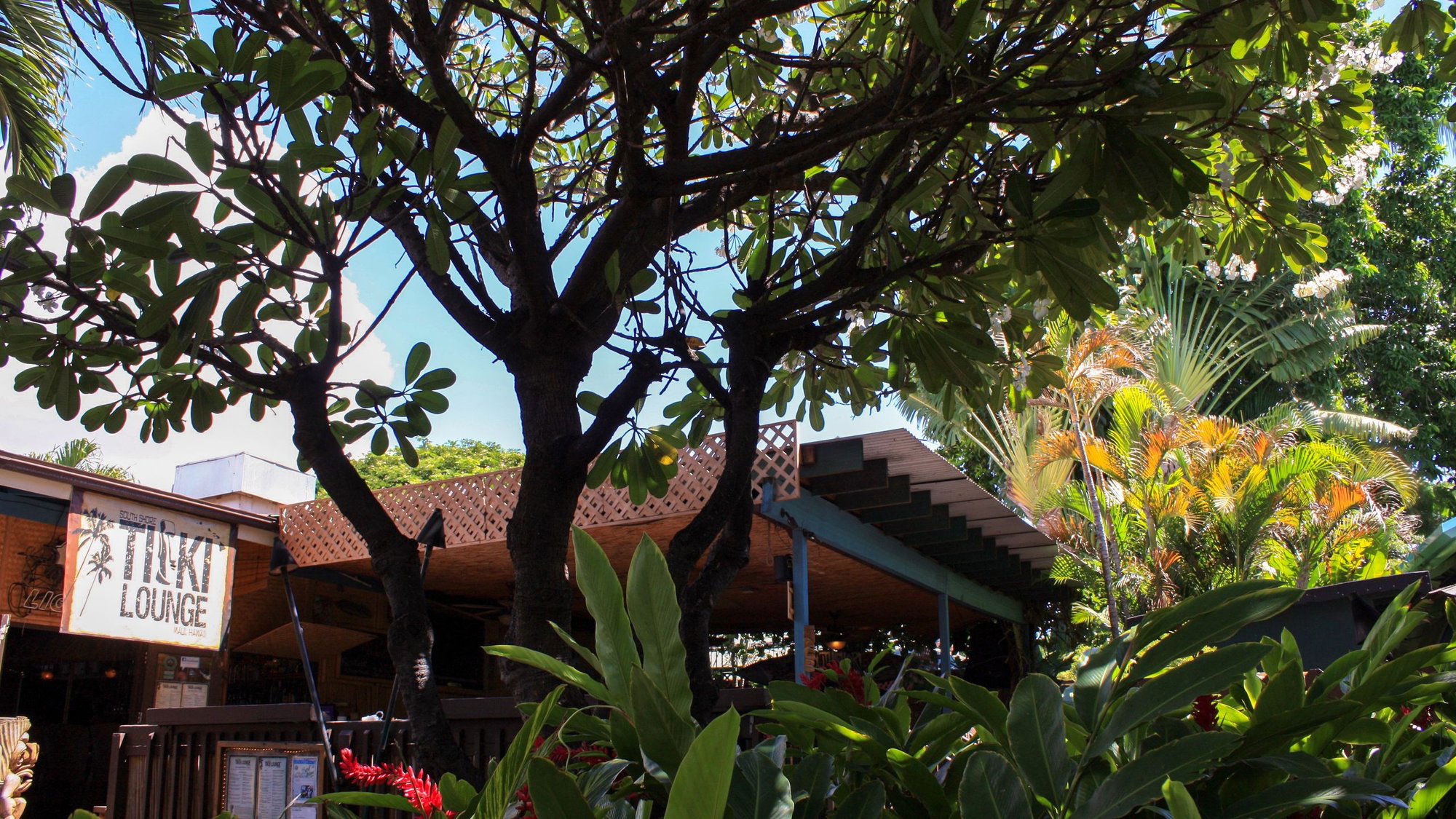 South Shore Tiki Lounge, Bar in Kihei