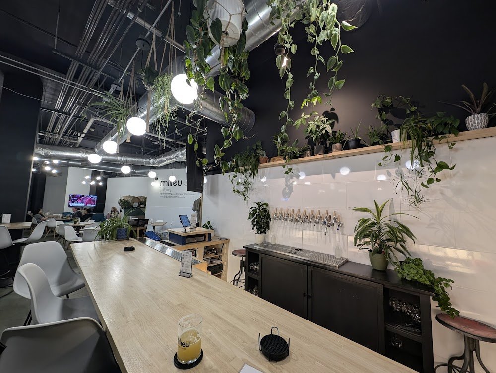 Milieu Fermentation, Aurora, United States