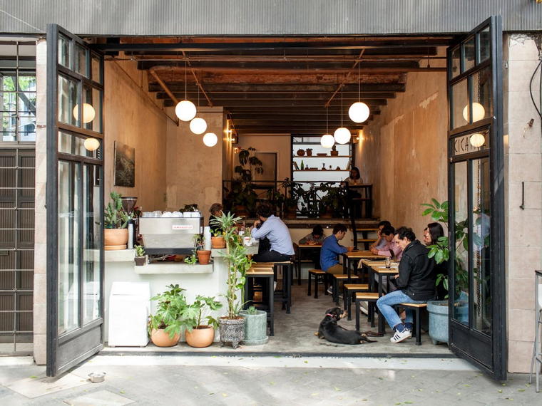Cicatriz, Mexico City, Mexico