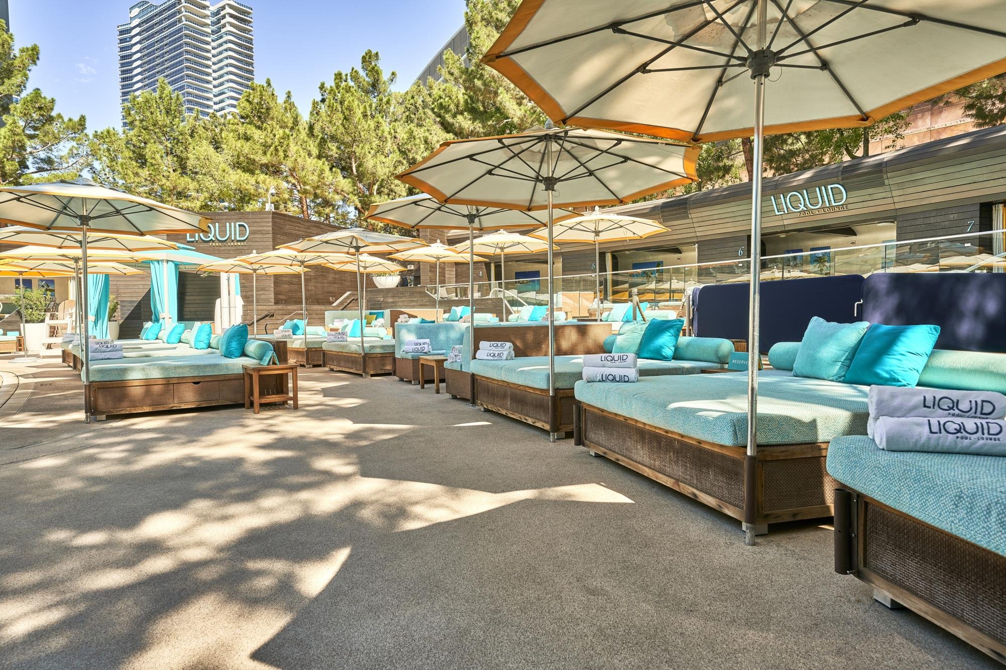 LIQUID Pool Lounge bar in Paradise, United States