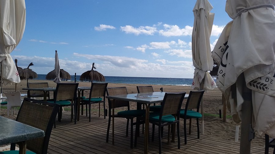 Palms Beach Bar