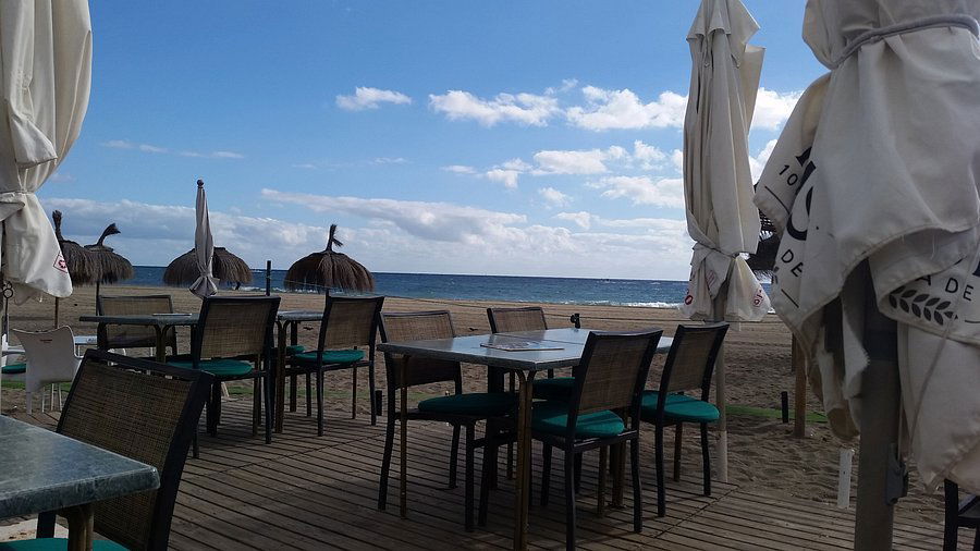 Palms Beach Bar, Bar in Palm Beach