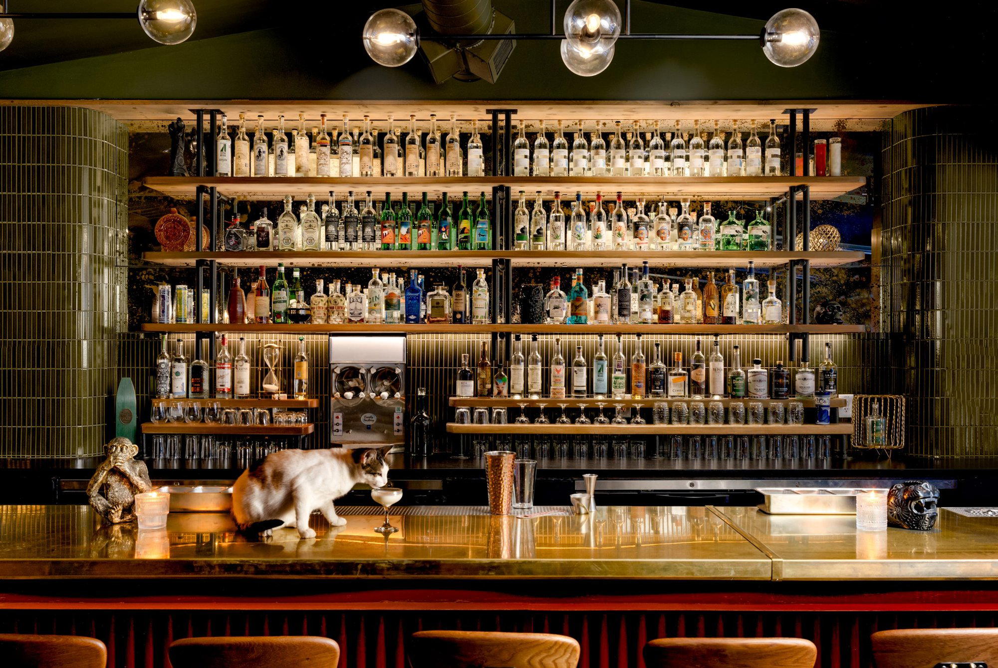 Takoba bar in Austin, United States