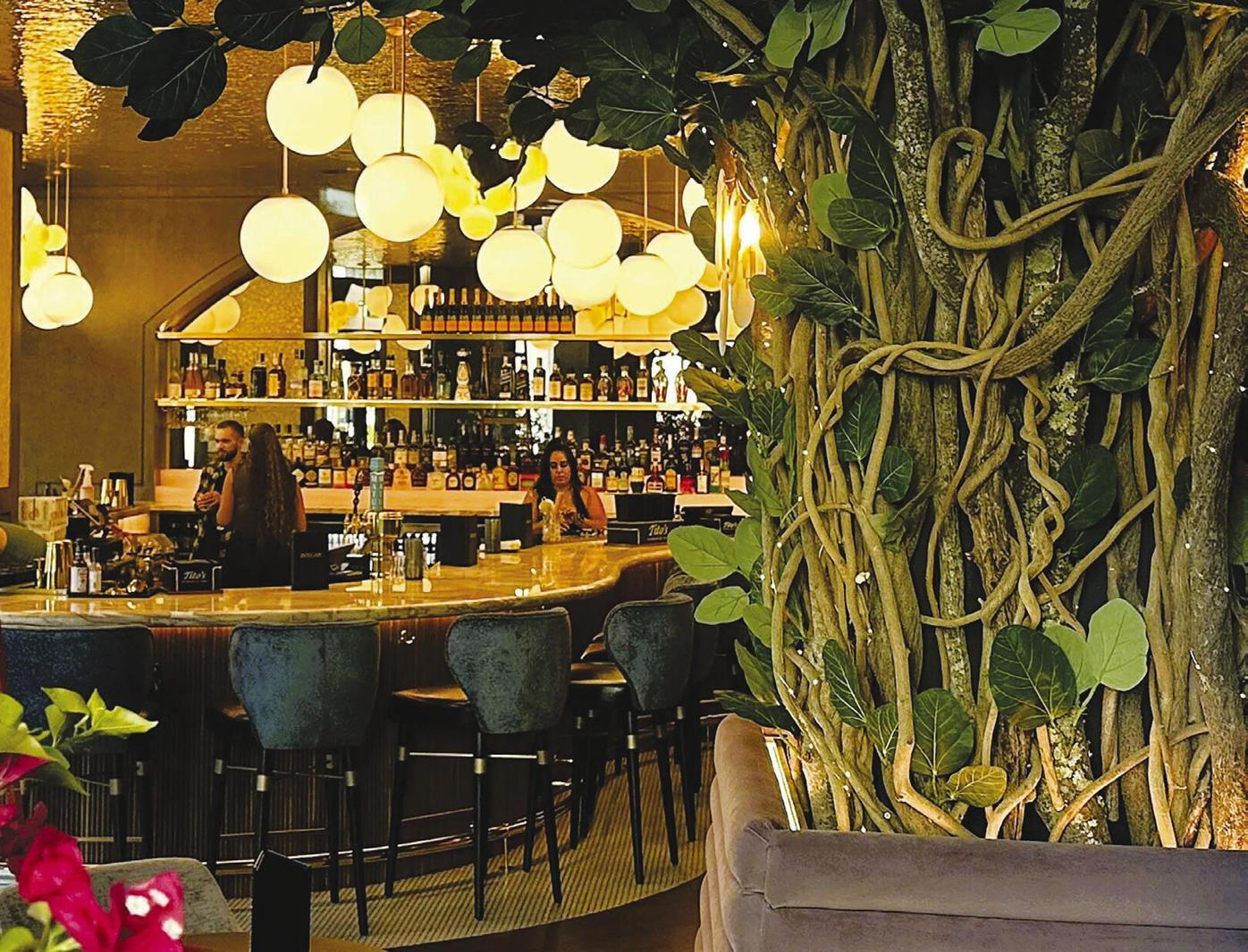 Beeline Naples bar in Naples