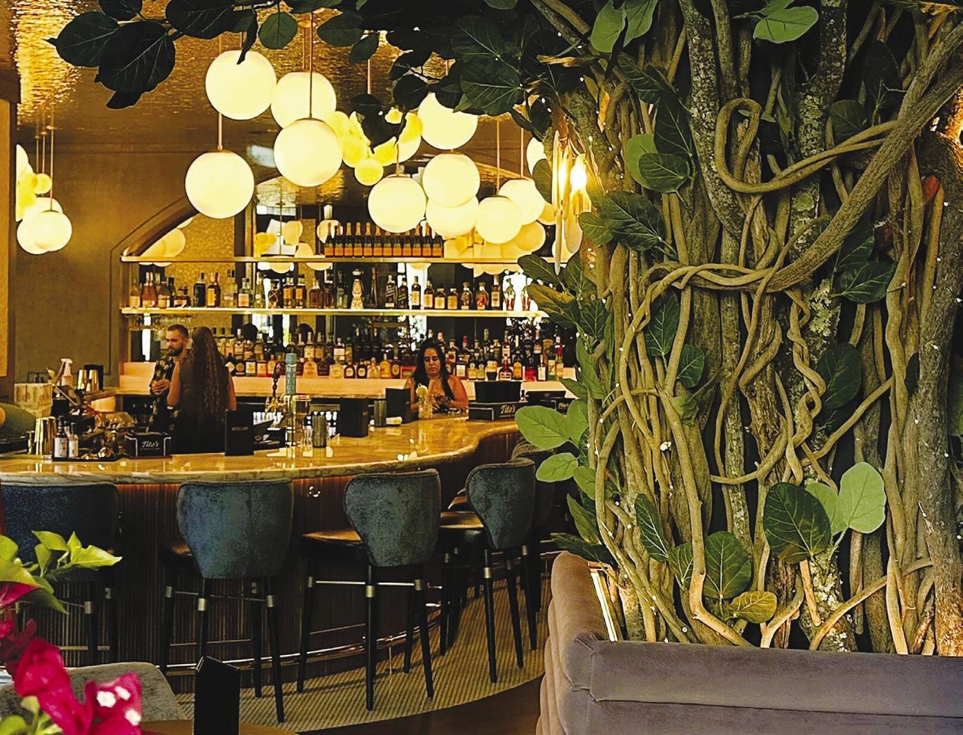 Beeline Naples, Bar in Naples