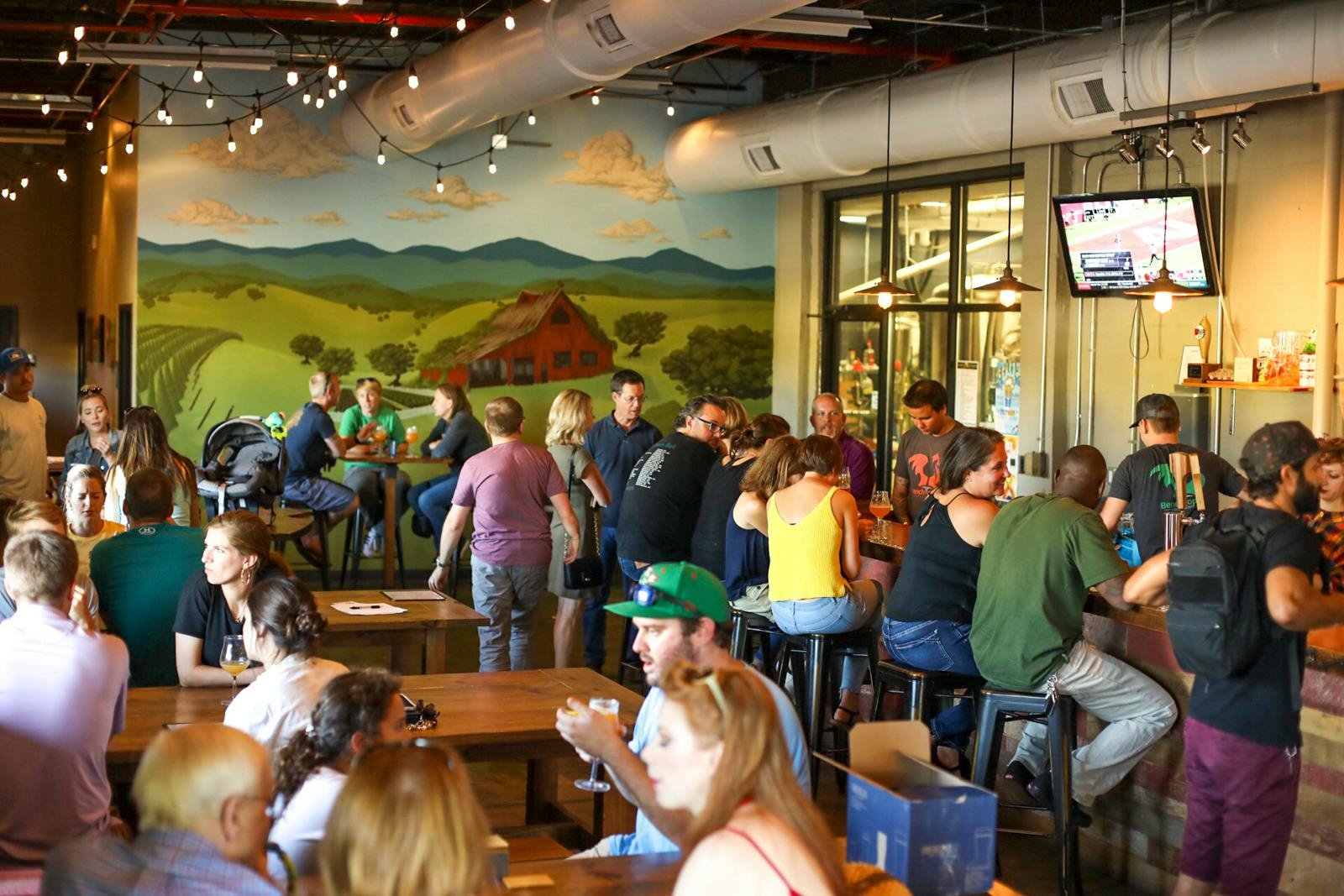 Benchtop Brewing Company