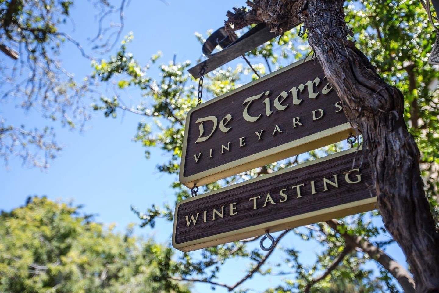 De Tierra Vineyards