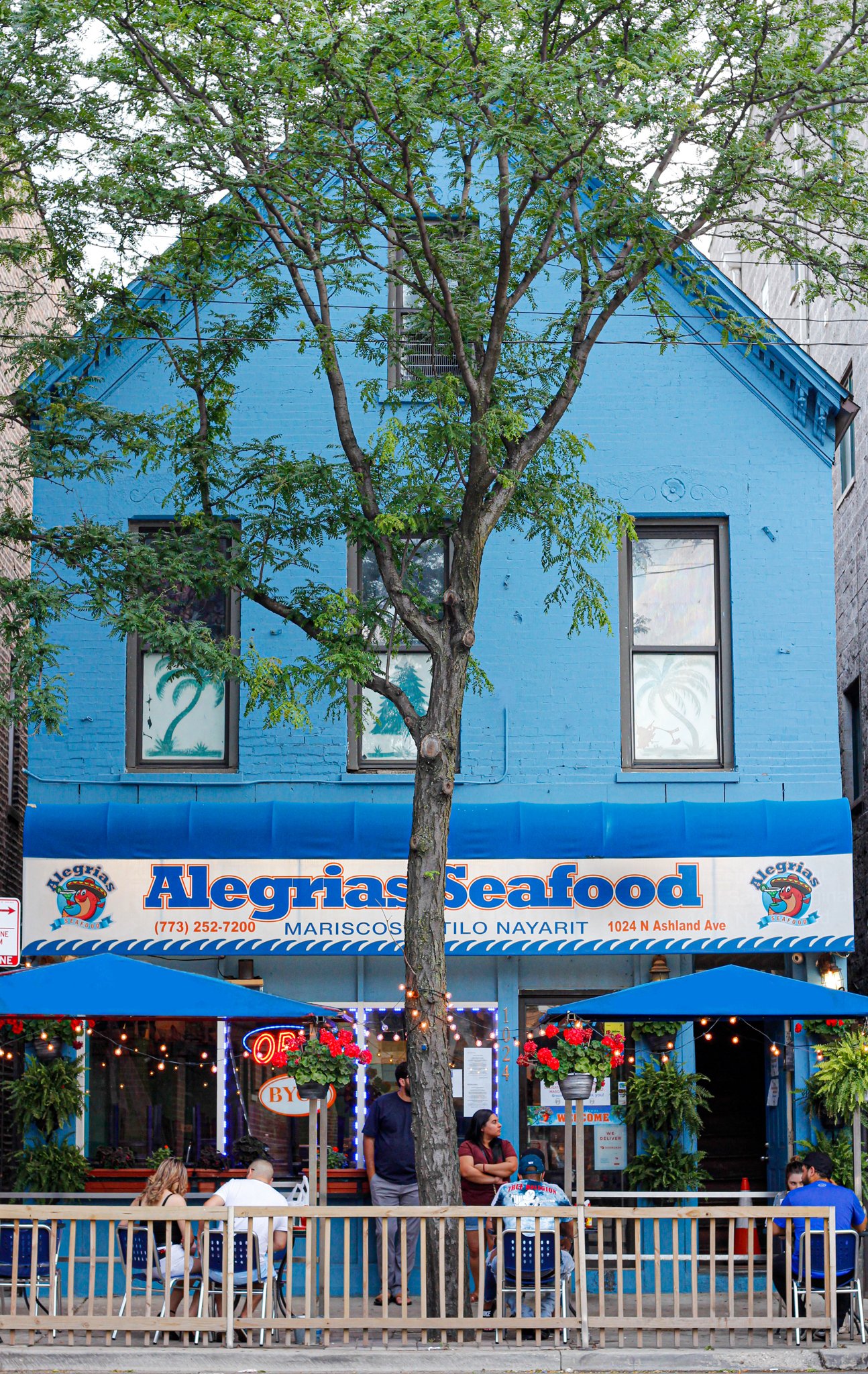 Alegrias Seafood bar in Chicago