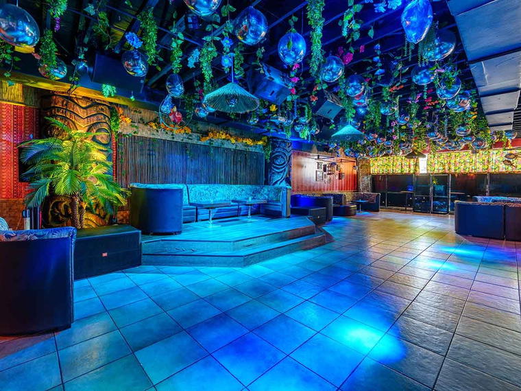 The Dead Flamingo, Miami, United States