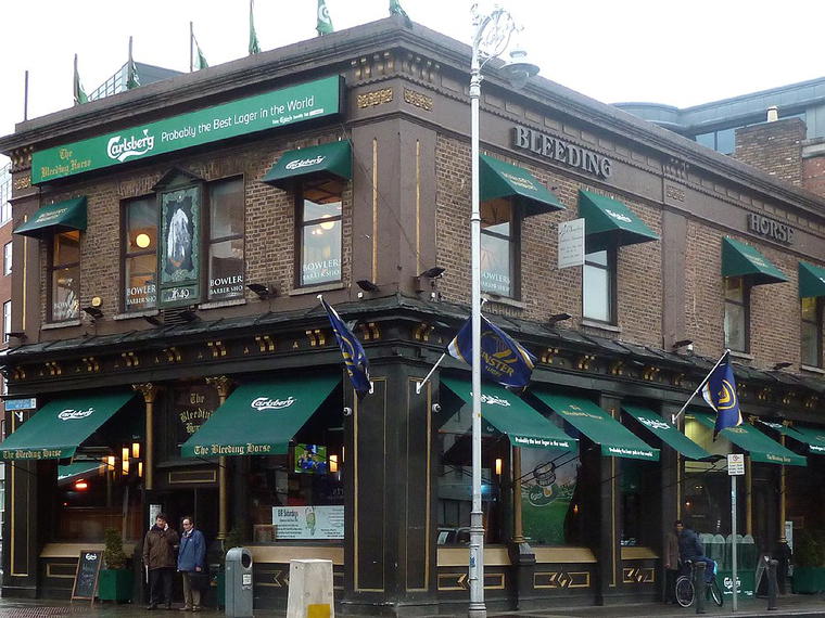 The Bleeding Horse, Dublin, Ireland