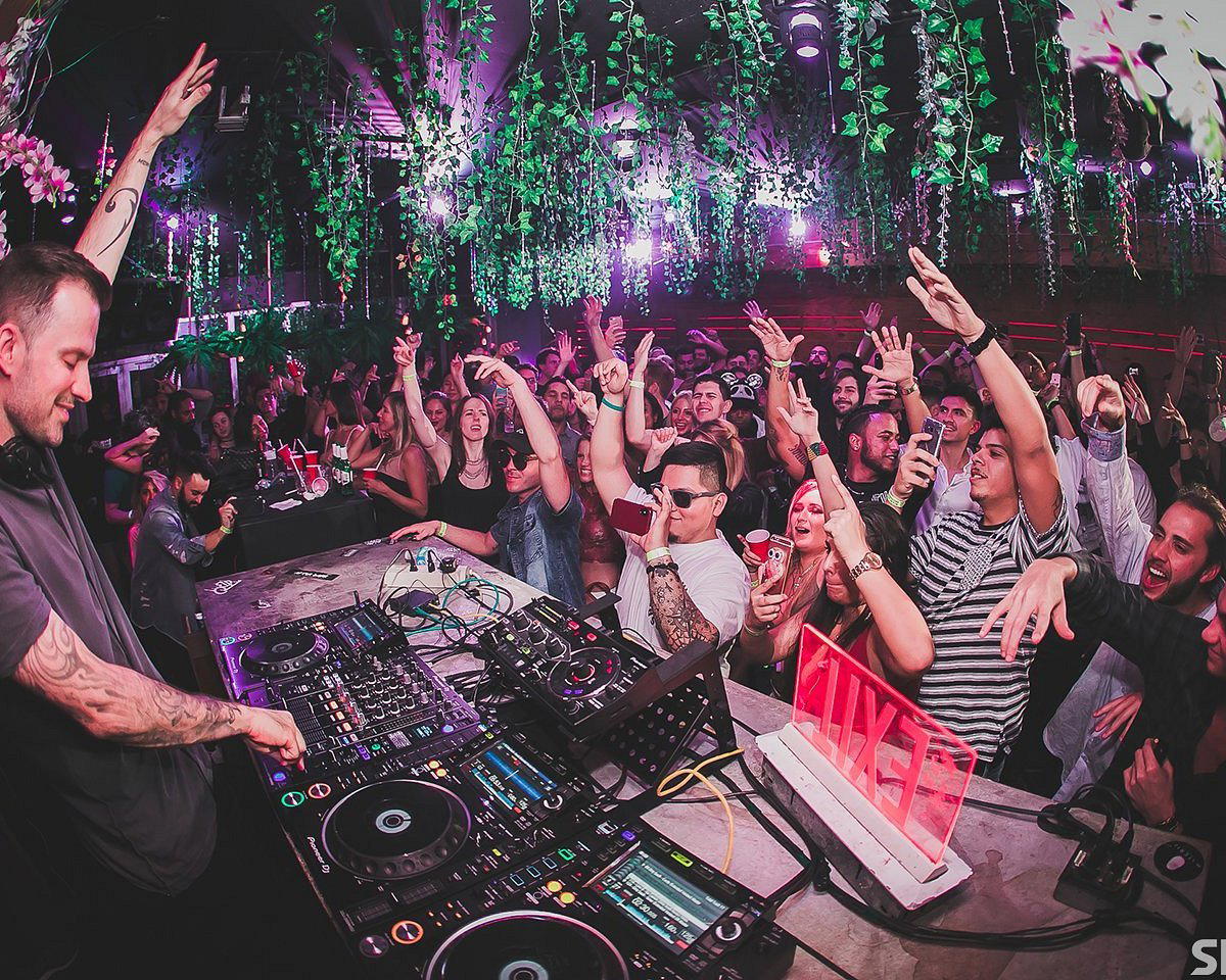 Treehouse bar in Miami Beach, United States