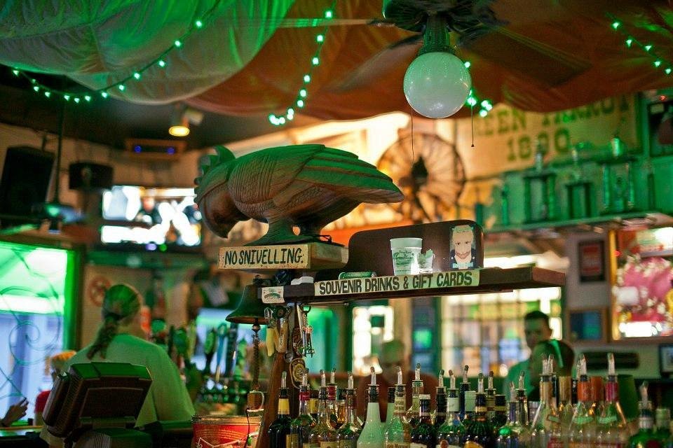 Green Parrot Bar