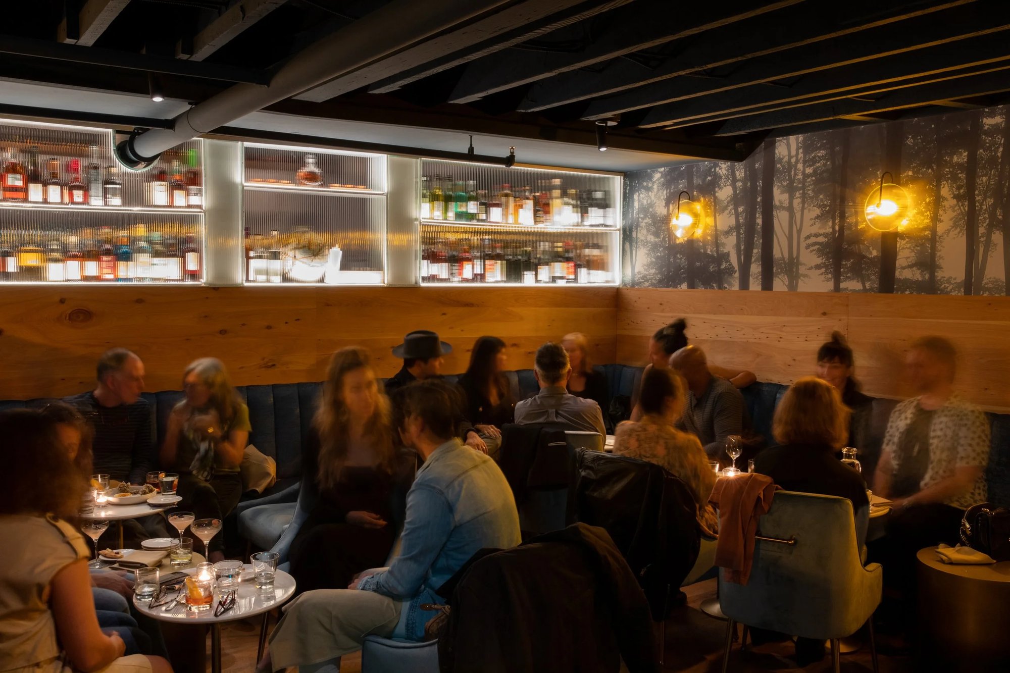 Piccino bar in San Francisco, United States