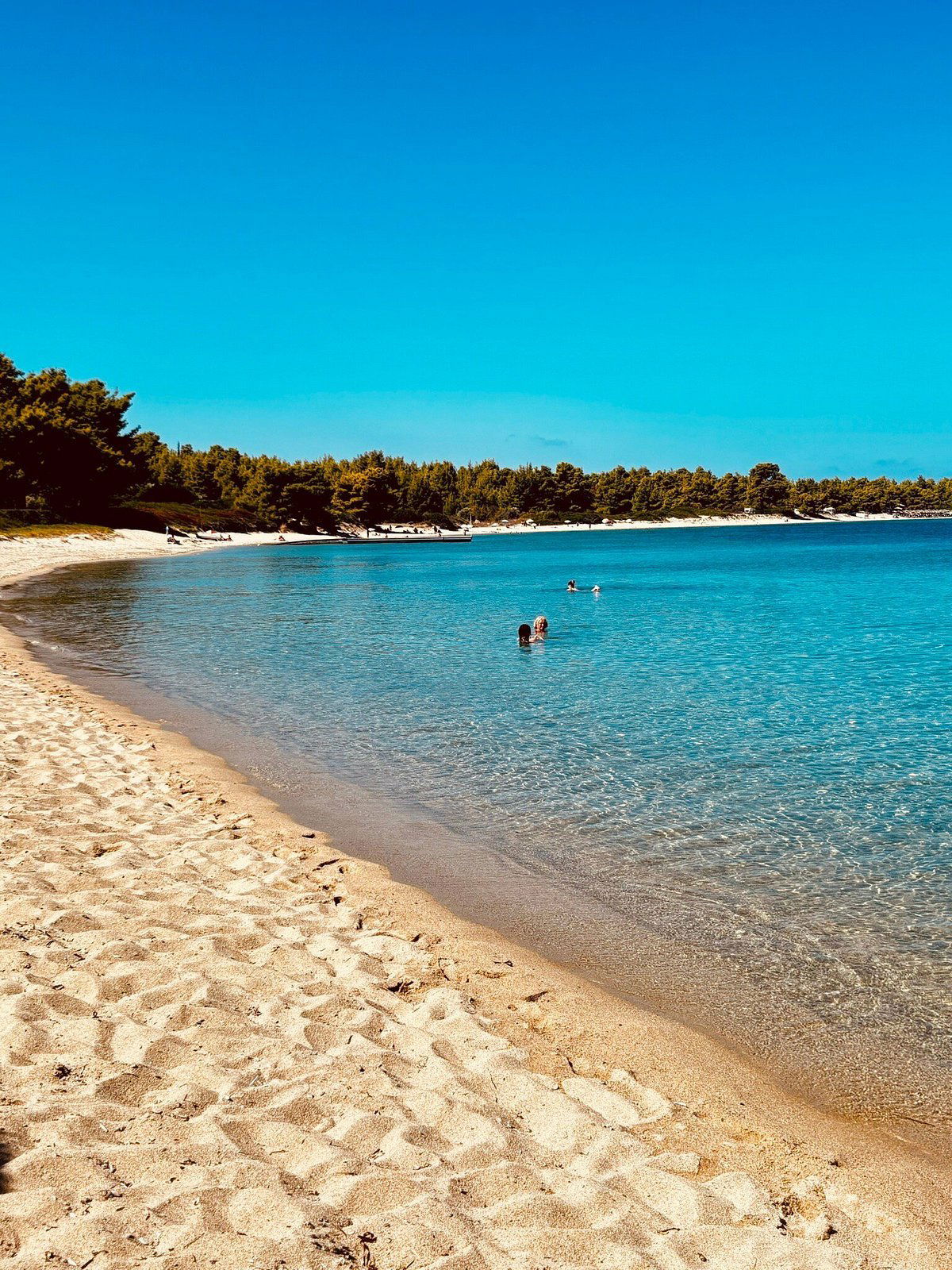 Lagus, Bar in Halkidiki