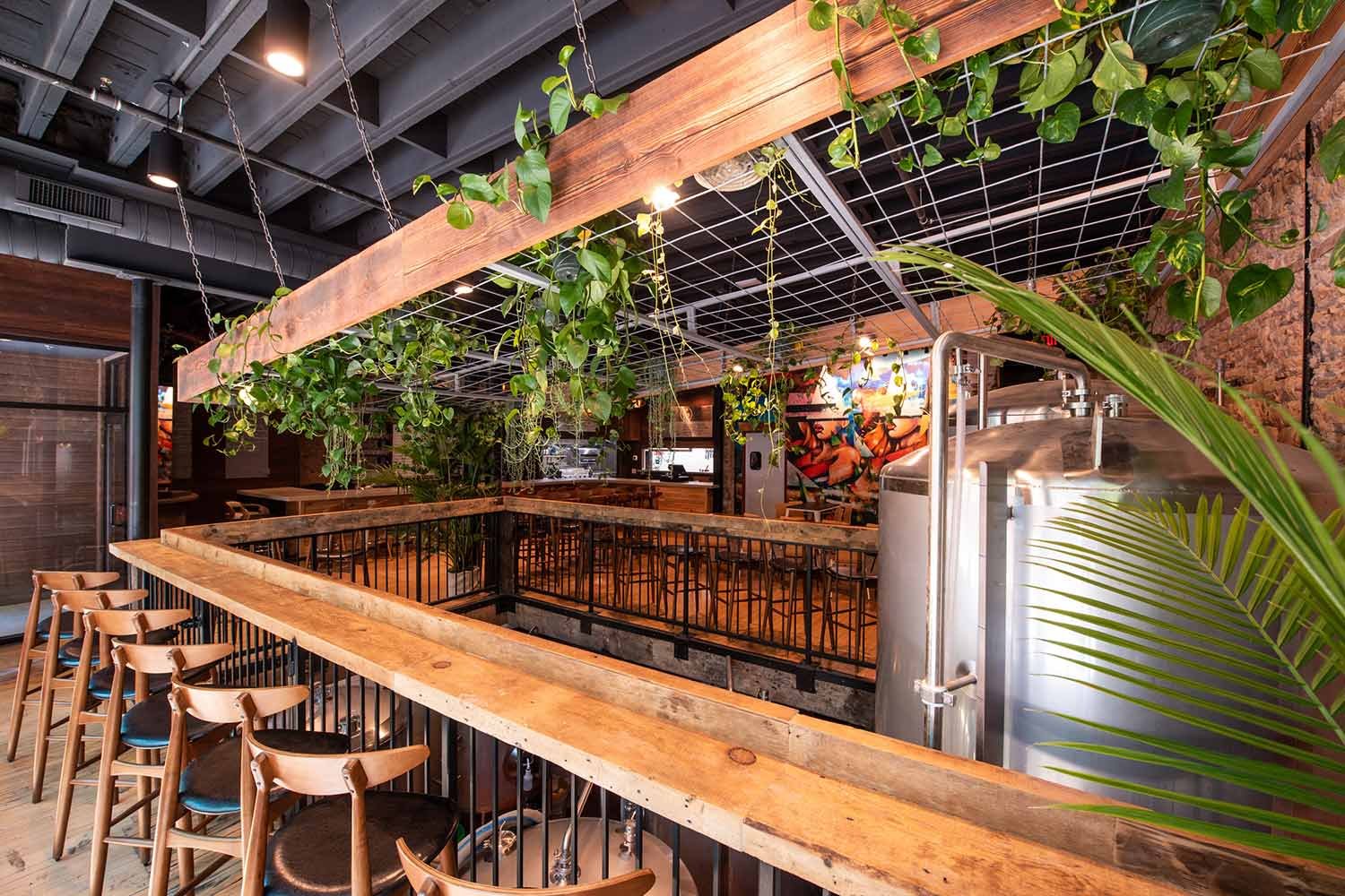 Young Blood Beer Company - King Street, Madison, United States