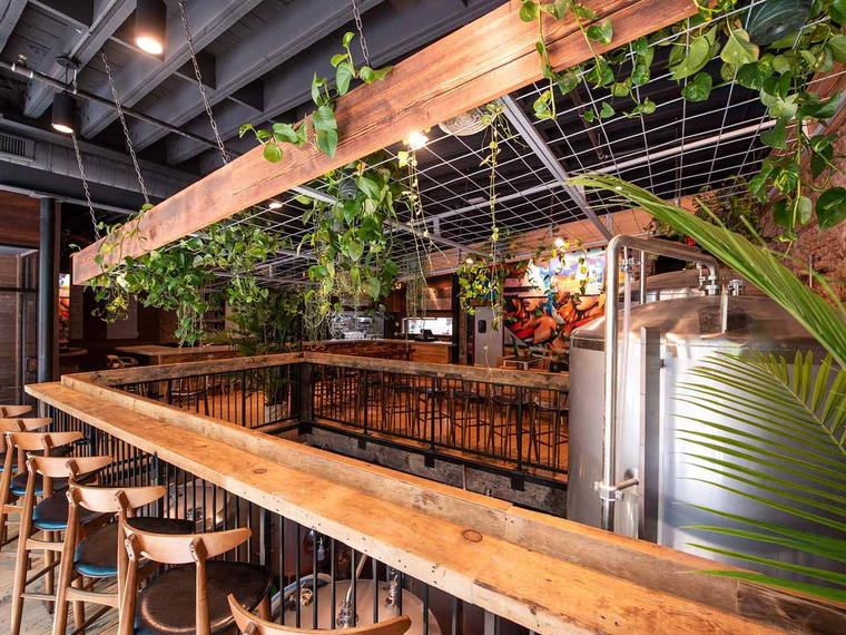 Young Blood Beer Company - King Street, Madison, United States