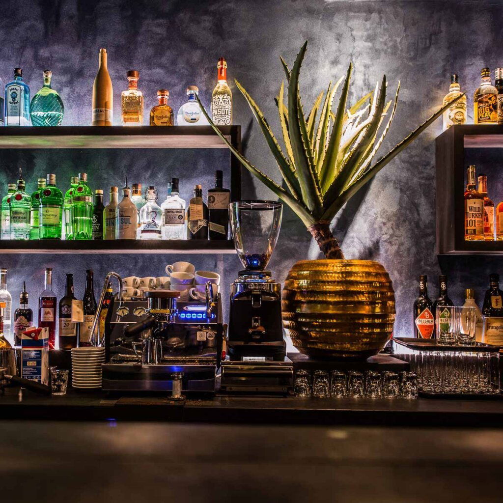 Botanic District, Bar in Hamburg