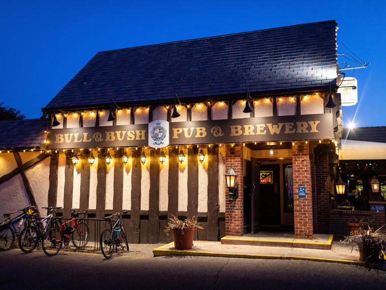 Bull & Bush Brewery, Glendale, United States