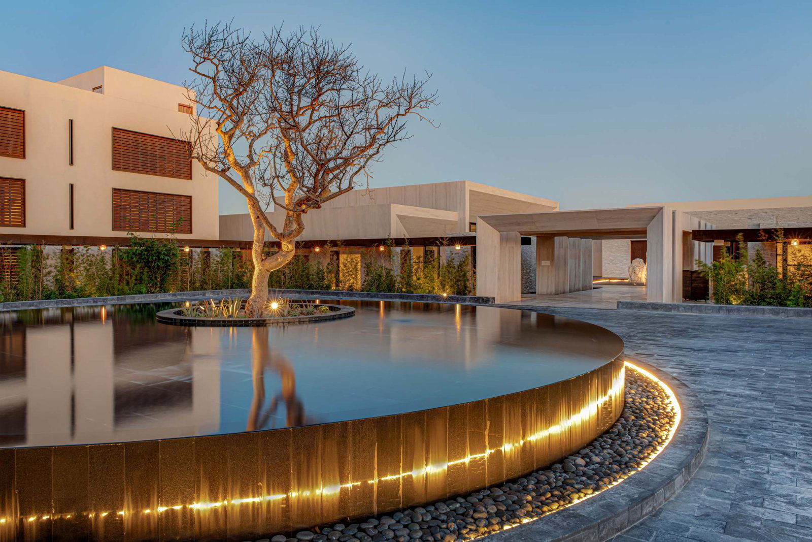 M Bar, Bar in Los Cabos